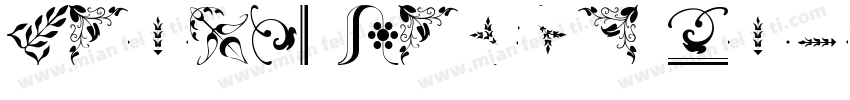 Fleur Black Regular字体转换
